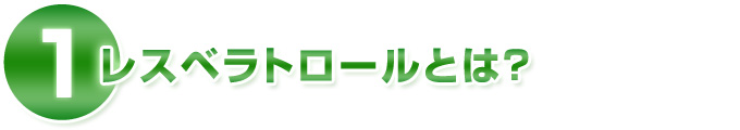 �i�P�j���X�x���g���[���Ƃ́H