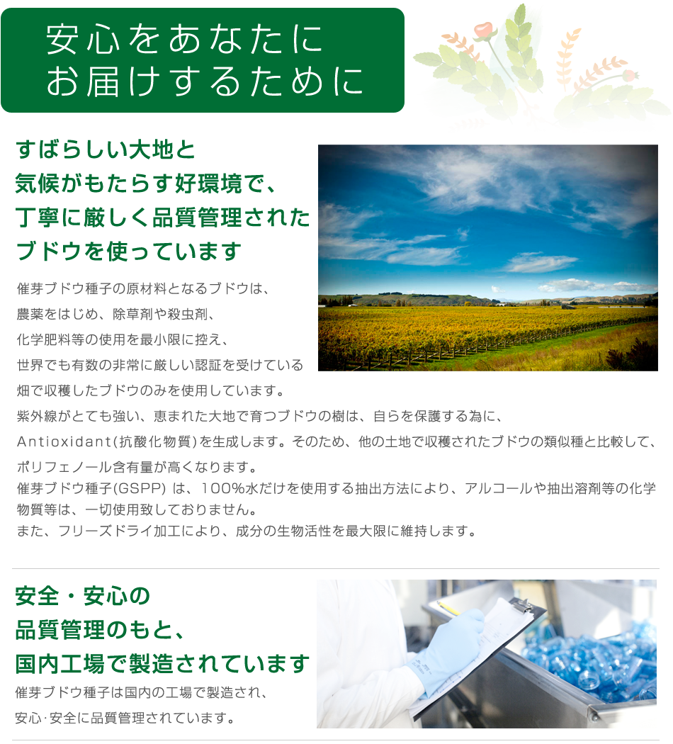 安心をあなたにお届けするために。素晴らしい大地と紀行がもたらす高環境で、丁寧に厳しく品質管理されたブドウを使っています。安全・安心の品質管理のもと、国内工場で製造されています。