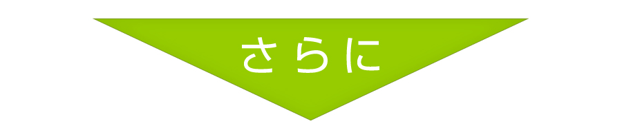 いまだけ全額返金保証　ハイブリッドレスベラ