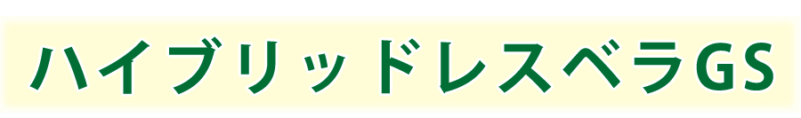 ハイブリッドレスベラGS